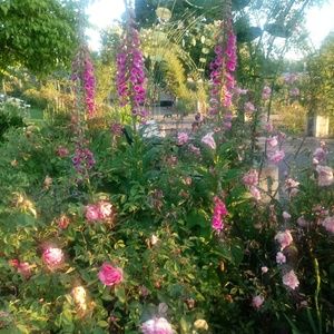 Meet your Posher, Kami